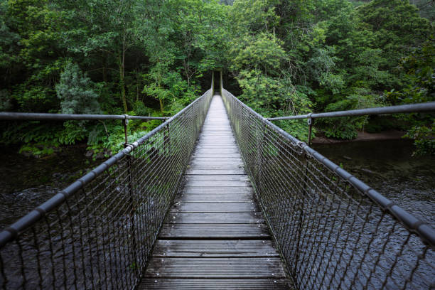 istock Suspension Bridge Over a River in the Forest, Fragas Do Eume, Galicia. 2150084331