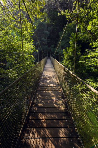 boy playing on bridge in forest of Chiangmai Thailand