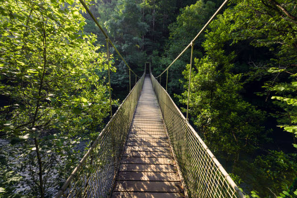 istock Suspension Bridge Over a River in the Forest, Fragas Do Eume, Galicia. 2150084335