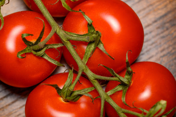 istock Beautiful cherry tomatoes on a branch in close-up macro 2150086965