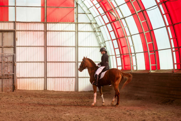 istock Equestrian performing dressage in arena 2150088346