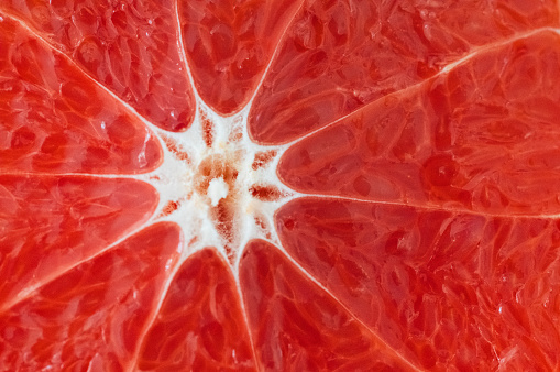 Close up of grapefruit cutout slice