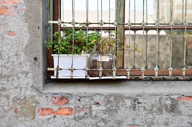 Flower container in a window behind spiky white bars, Carcassonne, France