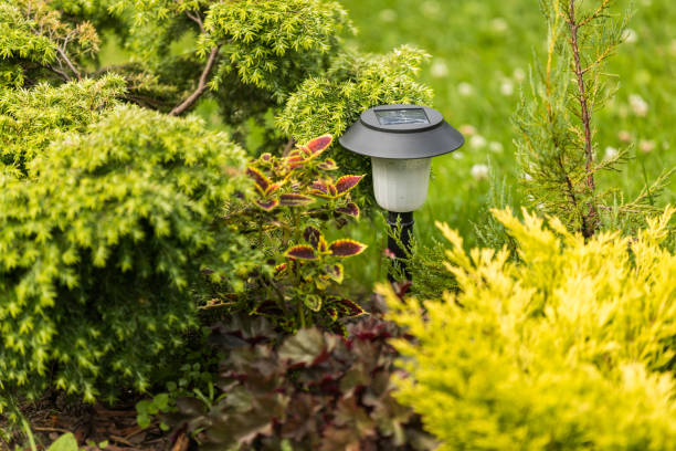istock Lantern for a solar-powered garden among plants 2150092975