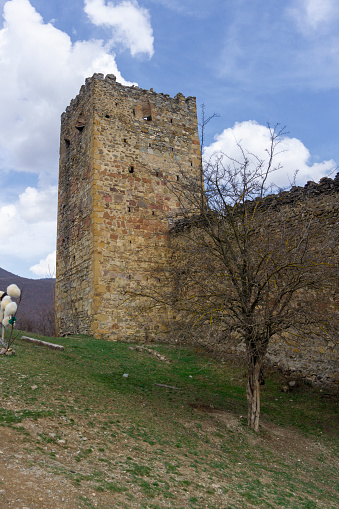 Ananuri Fortress, Georgia. The outer side of the wall and the defensive tower. Tree without leaves.