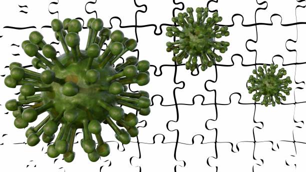 istock enveloped type of virus with jigsaw puzzle pieces 2150096831