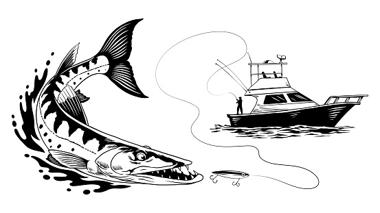 Vector of Fishing Boat Catching Barracuda Fish in Black and White