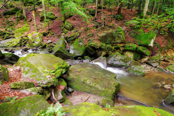Mountain stream long exposure