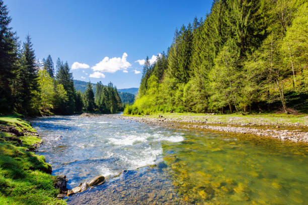 istock river flows through the valley of carpathian mountains 2150100980