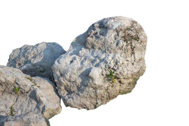 istock The trees.Rocks and Stone on the Mountain .Isolated on White background 2150102051