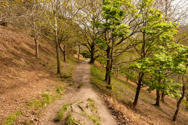 istock Hill walking on Conwy Mountain in North wales 2150103024