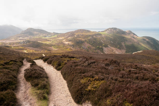 Mynydd y Dref, also known as Conwy Mountain, is a hilly area to the west of Conwy, in North Wales. To the north it overlooks the sea of Conwy Bay, and to the south lies the Carneddau range of mountains