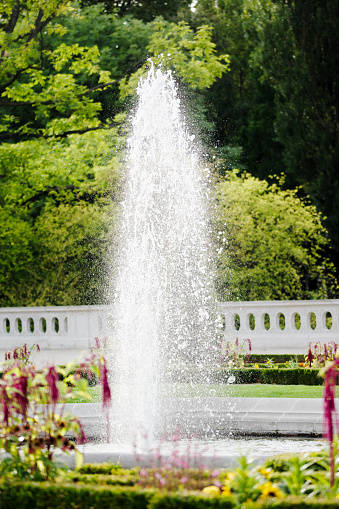 Gushing fountain in the garden during summer day