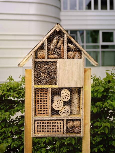 Wooden bug insect house hotel in public park.