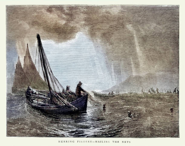 Vintage illustration of fishermen hailing the nets while fishing for herring, 1870s, History