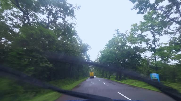 A Truck Driving Through a Dense Forest During Rainy Weather 1080