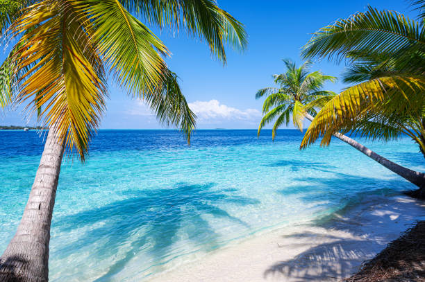 Ocean and island