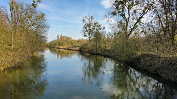 istock River flowing through sundappled trees on a clear day Leine Maschsee Hanover 2150110100