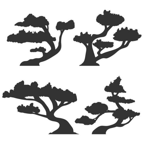 Bonsai trees vector black silhouettes set isolated on a white background. Bonsai trees vector black silhouettes set isolated on a white background. bonsai tree stock illustrations