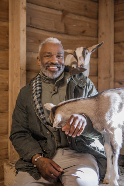 istock A handsome black man goat farmer gentleman at work on his small business 2150112022