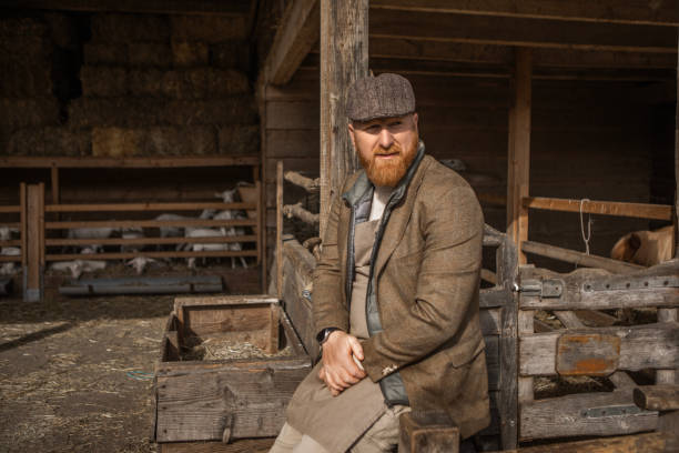 istock A handsome redhead man goat farmer gentleman at work on his small business 2150112430
