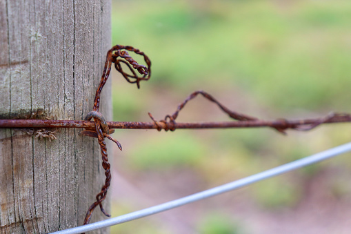 old rusty barbed wire on fence post