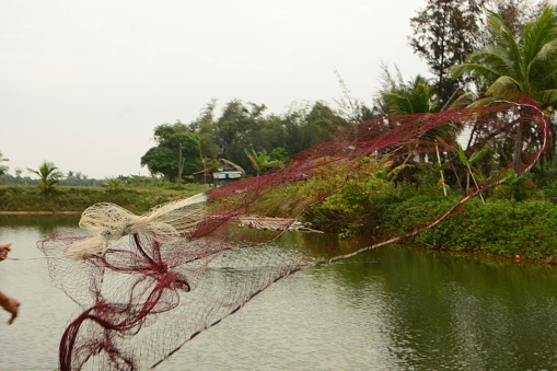 Countyside; rural scne . human hands throw in fishing net above a pond.