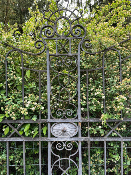 istock Wrought iron fence in front of a bush 2150115157
