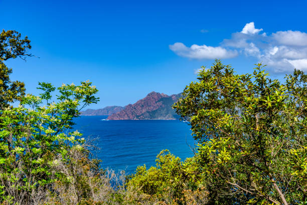 paysage du littoral Corse au printemps