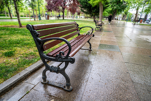 wooden bench is in public park at rainy day horizontal still
