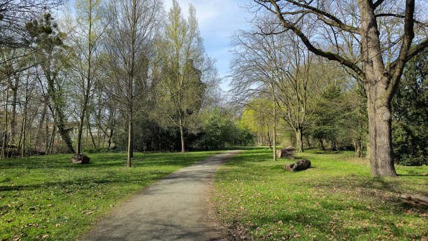 istock A treelined path winding through a lush grassy park under the open sky Hanover Germany 2150119989