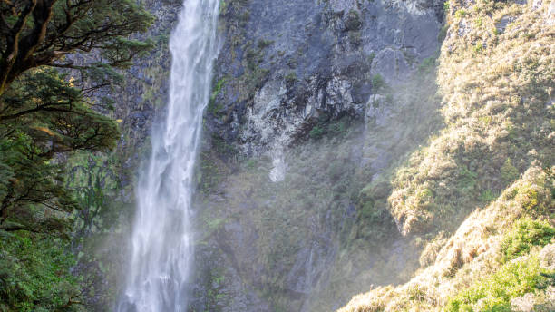 istock Sunlit waterfall cascades through lush NZ foliage, a serene Arthur's Pass gem 2150122628
