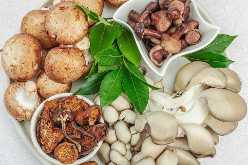 Assortment of various mushrooms - fresh, dried and pickled. Oyster mushrooms, brown cremini, porcini and shiitake. Healthy ingredient for cooking vegan food. Selective focus, light stone concrete background, top view
