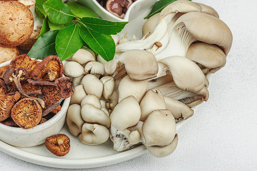 Assortment of various mushrooms - fresh, dried and pickled. Oyster mushrooms, brown cremini, porcini and shiitake. Healthy ingredient for cooking vegan food. Selective focus, light stone concrete background, close up