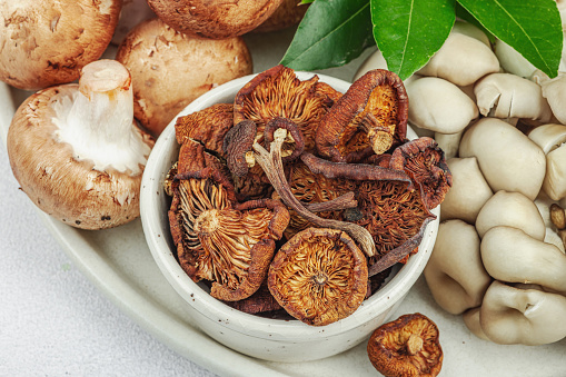 Assortment of various mushrooms - fresh, dried and pickled. Oyster mushrooms, brown cremini, porcini and shiitake. Healthy ingredient for cooking vegan food. Selective focus, light stone concrete background, close up