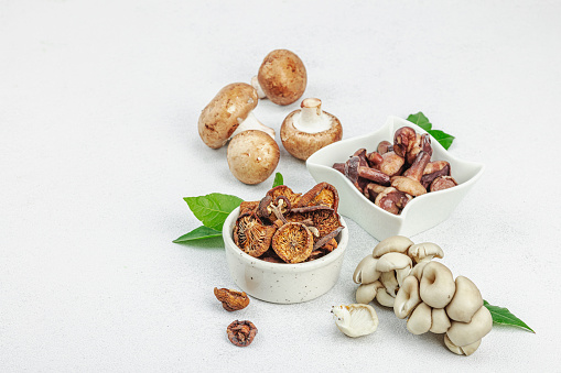 Assortment of various mushrooms - fresh, dried and pickled. Oyster mushrooms, brown cremini, porcini and shiitake. Healthy ingredient for cooking vegan food. Selective focus, light stone concrete background, copy space