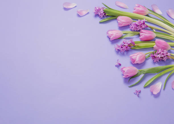 istock spring flowers on purple paper background 2150124372