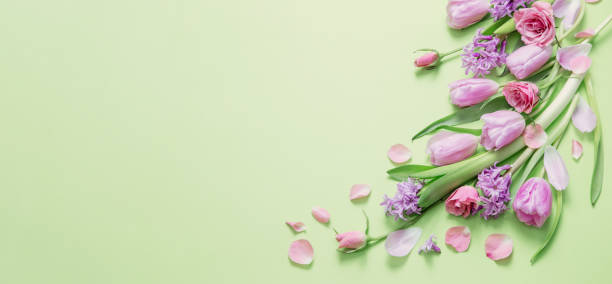 istock spring flowers on green paper background 2150124379