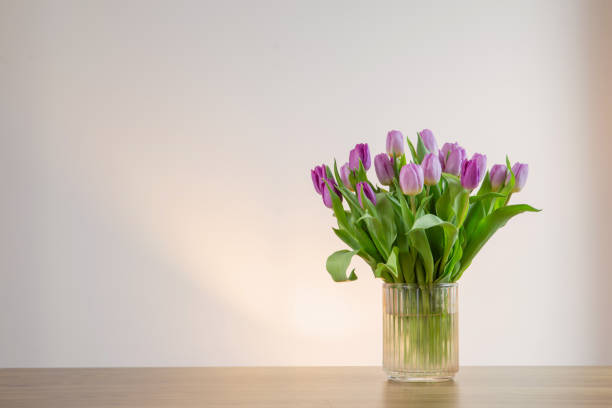 istock pink tulips in glass vase on white background 2150124436