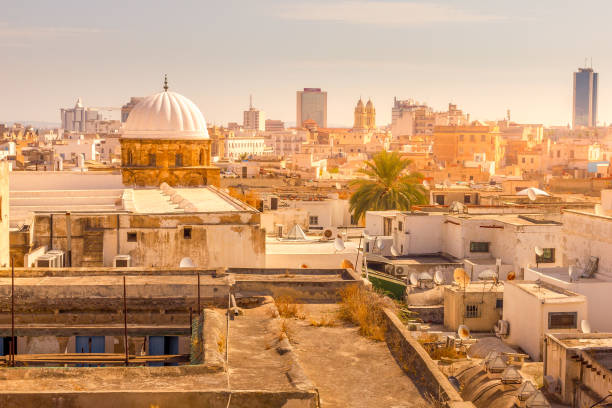 istock Aerial view of Tunis, Tunisia 2150127644