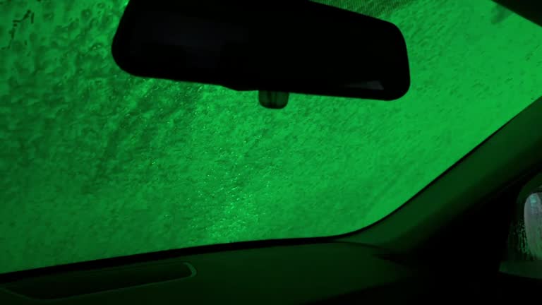 A car window is covered in green spots