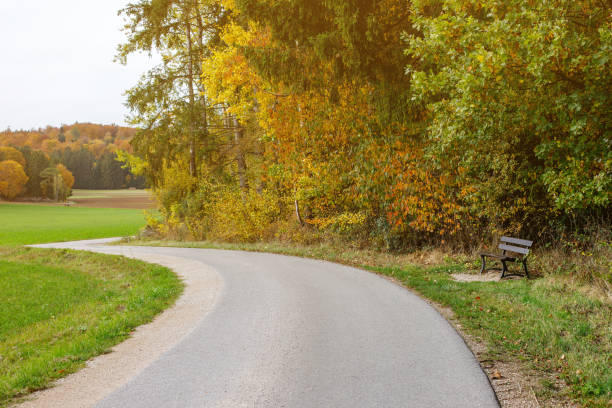 istock road for walking among fields and forests. walks in the open air 2150127807