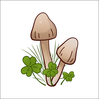 Mushroom vector isolated illustration. Toadstool in cartoon. Plants, botanists, not edible mushroom. Design element for theme forest mushrooms, menu, ingredients, recipes, organic products, etc.
