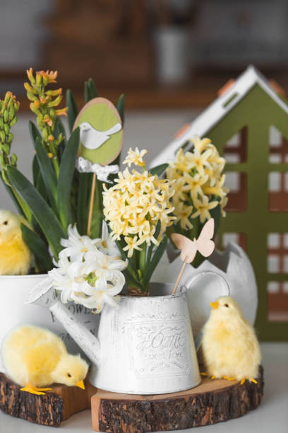 istock Happy Easter. Spring yellow hyacinth flowers in an egg-shaped vase, chicken chicks on a white table. In the background is a white Scandinavian-style kitchen. Easter decor in the house. 2150131931