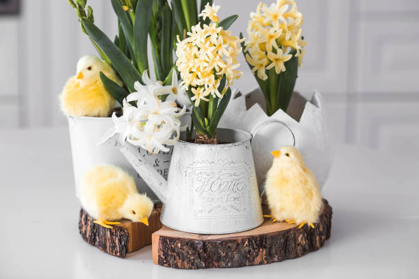 istock Happy Easter. Spring yellow hyacinth flowers in an egg-shaped vase, chicken chicks on a white table. In the background is a white Scandinavian-style kitchen. Easter decor in the house. 2150131935