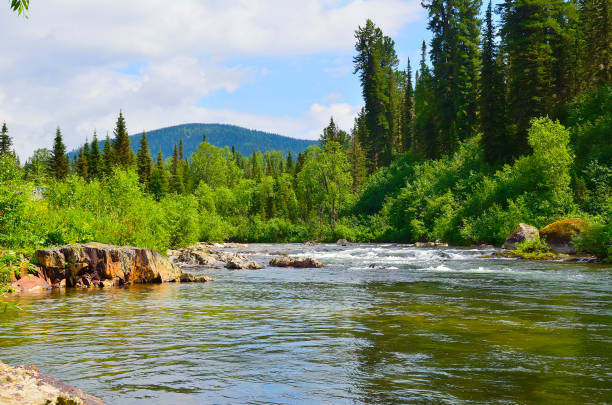 istock Fast flowing mountain river among dense forests and huge stones 2150134263