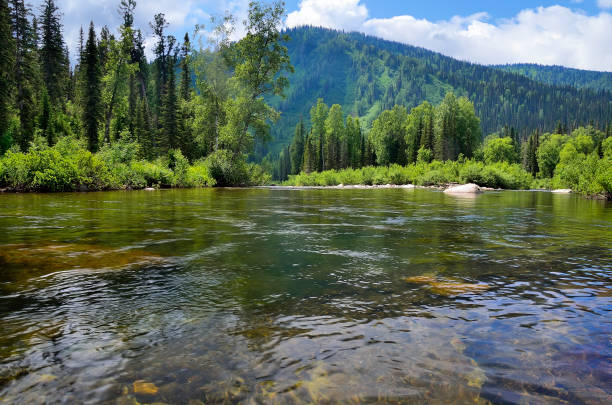 istock Fast flowing mountain river among dense forests and huge stones 2150134282