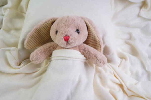 istock A stuffed rabbit toy lies on a pillow under a white blanket 2150134299