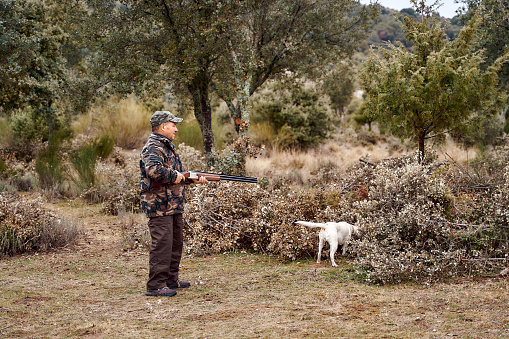 Young Caucasian male hunter holding his rifle and pointing at the aim, while his two hunting dogs are standing next to him.