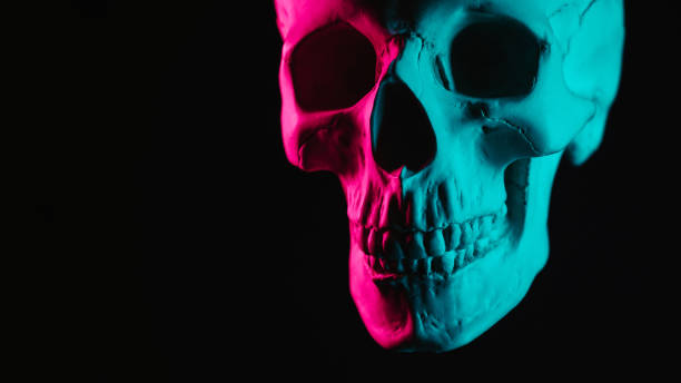 human skull with pink green neon light on black background
